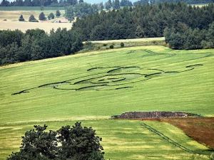 Crop circles