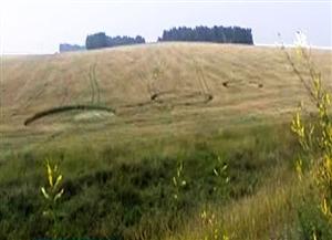 Crop circles