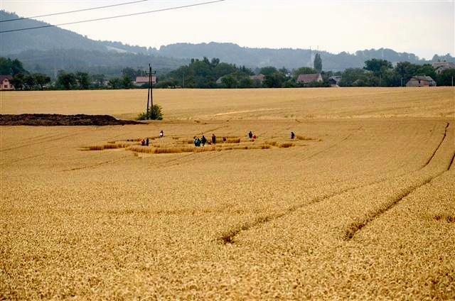 Crop circle 2013