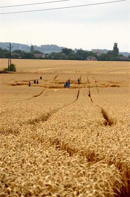 Crop circle 2013