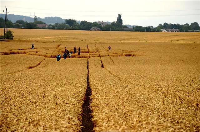 Crop circle 2013