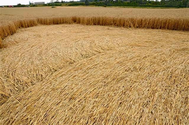 Crop circle 2013