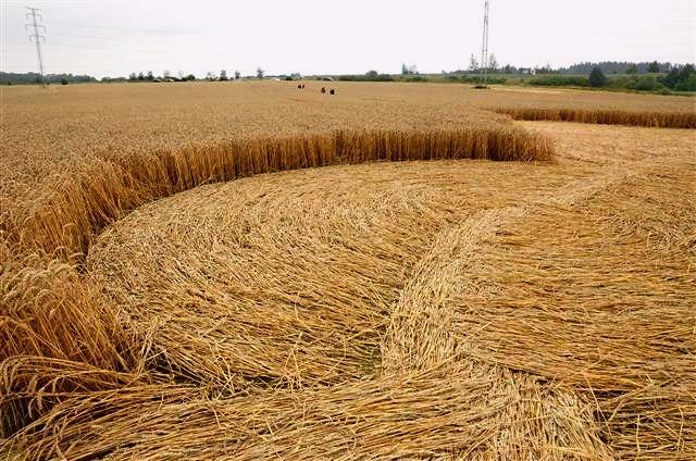 Crop circle 2013