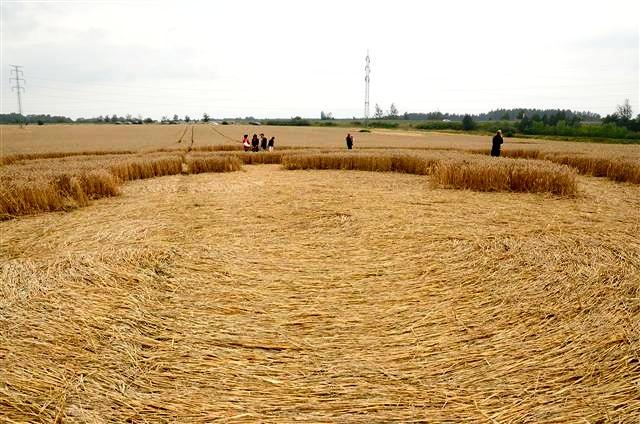 Crop circle 2013