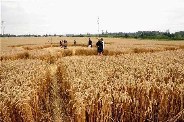 Crop circle 2013