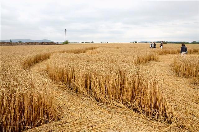 Crop circle 2013