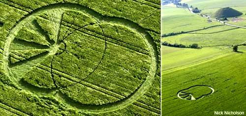 Crop circle