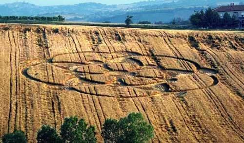 Crop circle