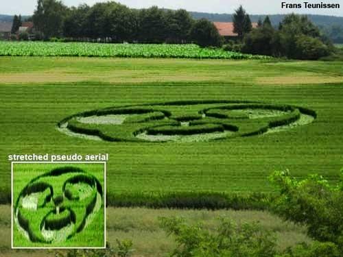 Crop circle