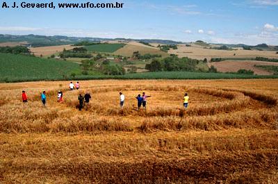 Crop circle
