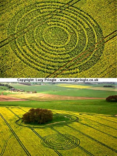 Crop circle