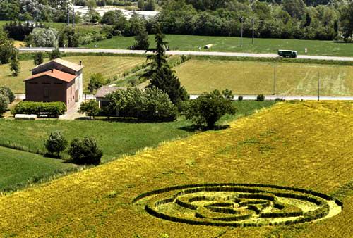 Crop circle