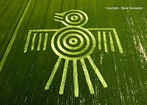 Crop circle