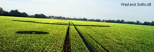 Crop circle