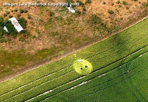 Crop circle