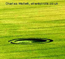 Crop circle