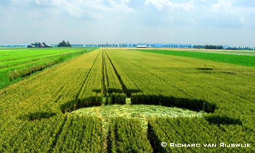 Crop circle
