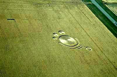 Crop circle