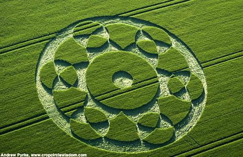 Crop circle