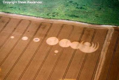 Crop circle