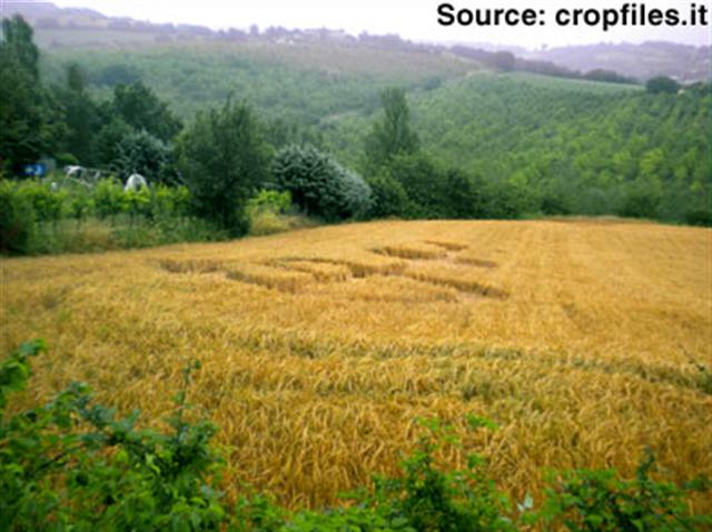 Crop circle