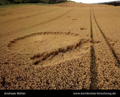 Crop circle