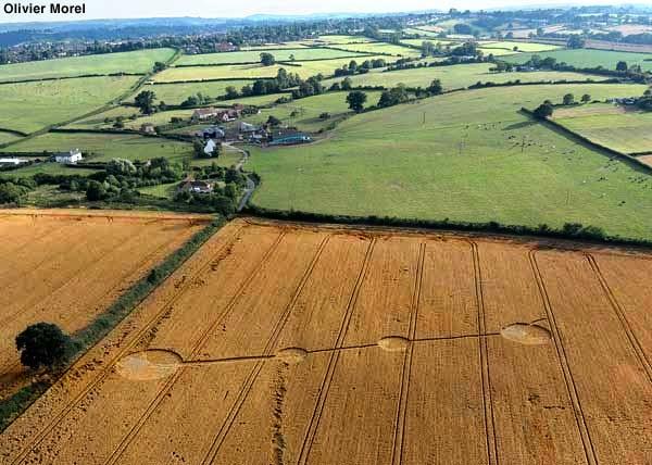 Crop circle