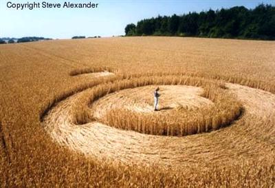 Crop circle