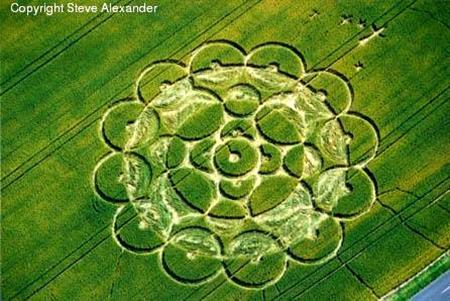 Crop circle