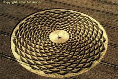 Crop circle