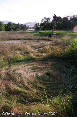 Crop circle