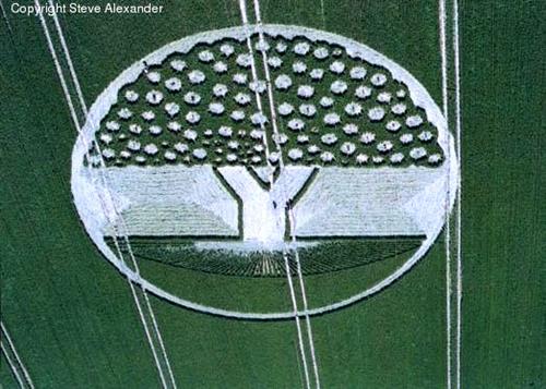 Crop circle