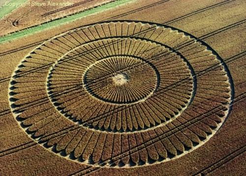 Crop circle