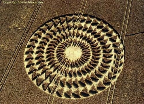 Crop circle