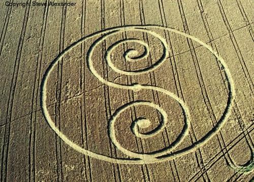 Crop circle