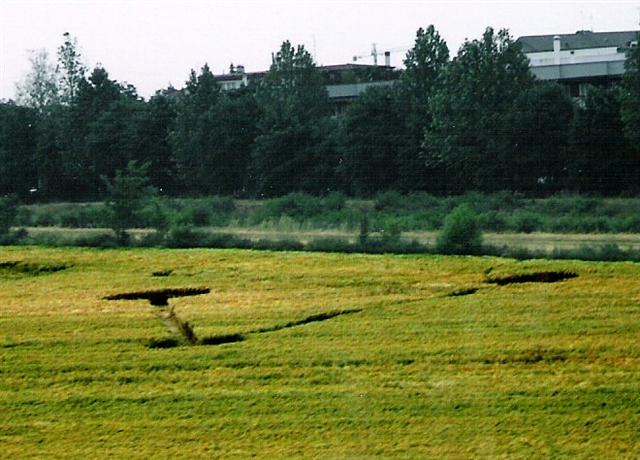 Crop circle