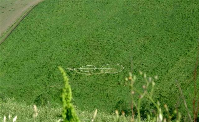 Crop circle