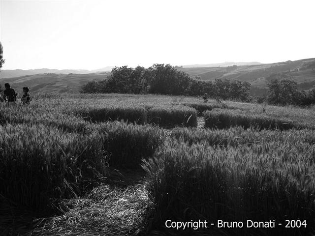 Crop circle