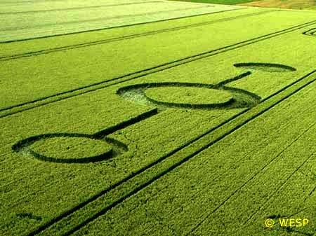 Crop circle