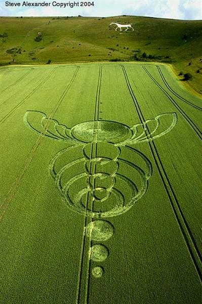 Crop circle