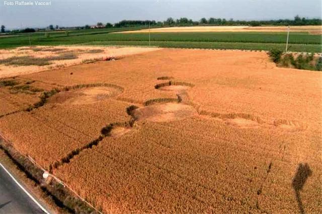 Crop circle