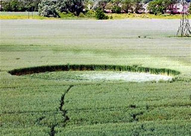 Crop circle