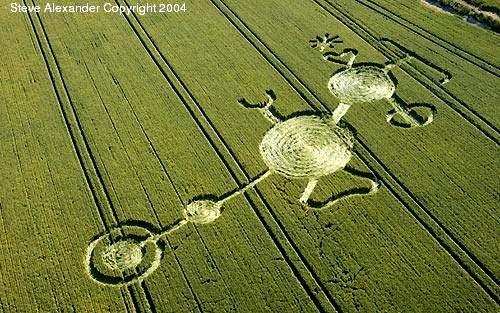 Crop circle