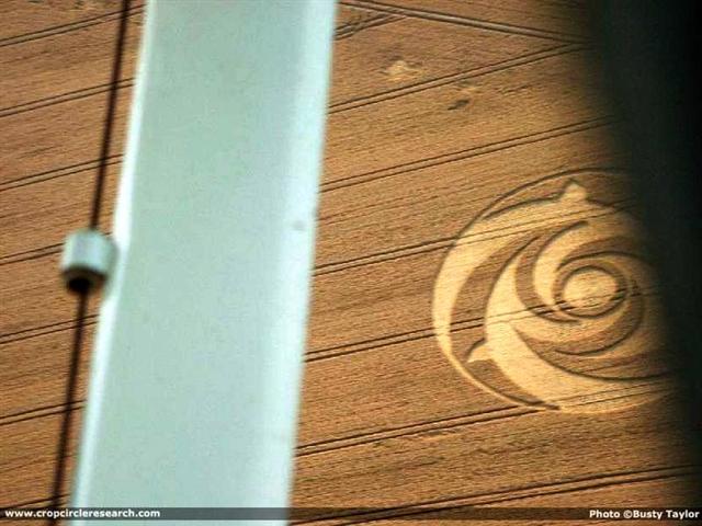 Crop circle