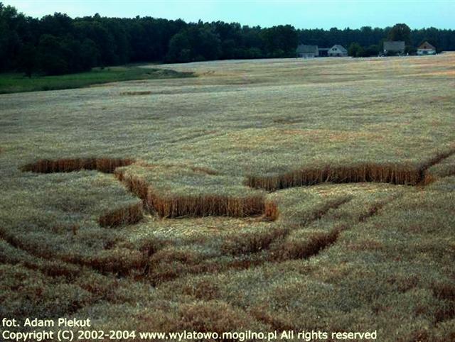 Crop circle