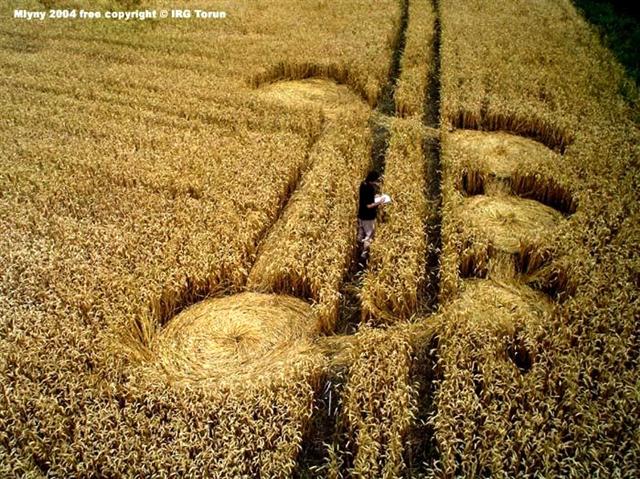 Crop circle