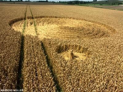 Crop circle