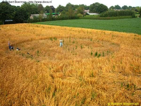 Crop circle