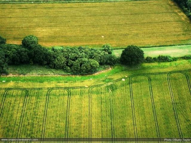 Crop circle