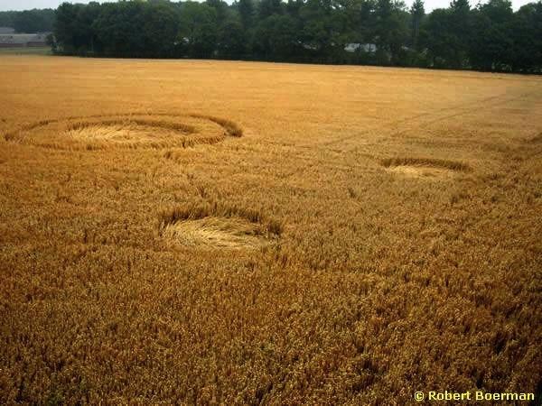 Crop circle